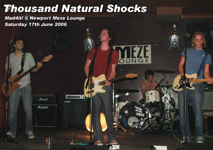 click here to visit Thousand Natural Shocks on-line